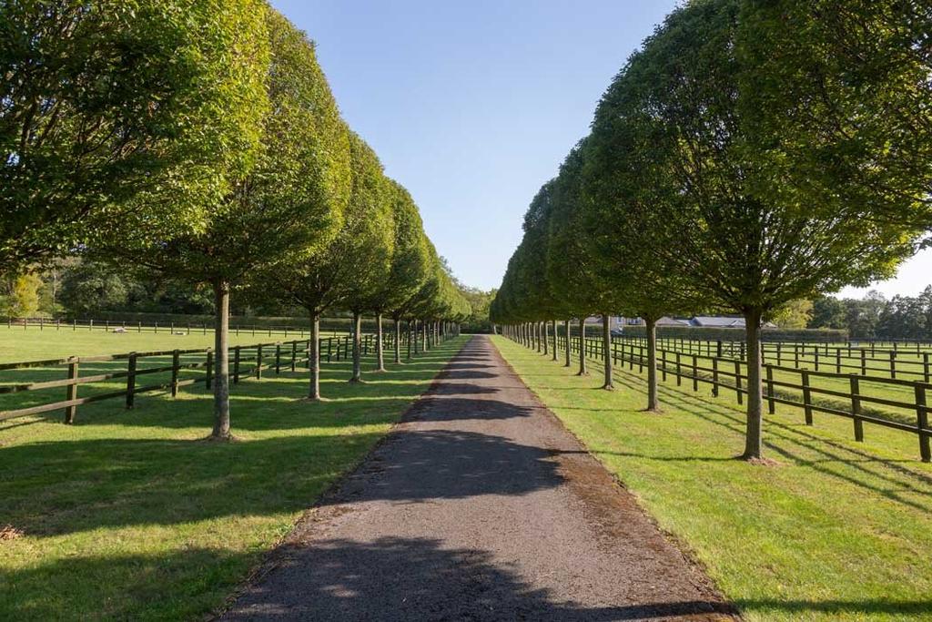 Avenue