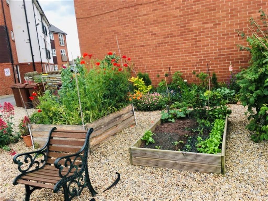 Garden area