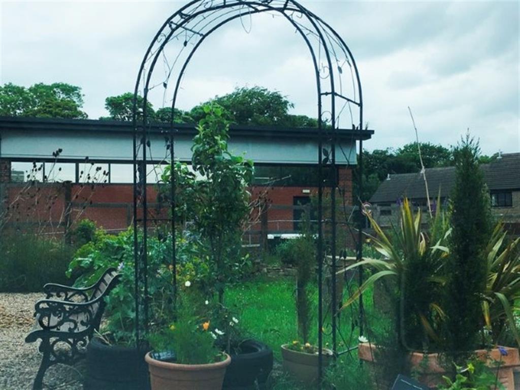 Garden area