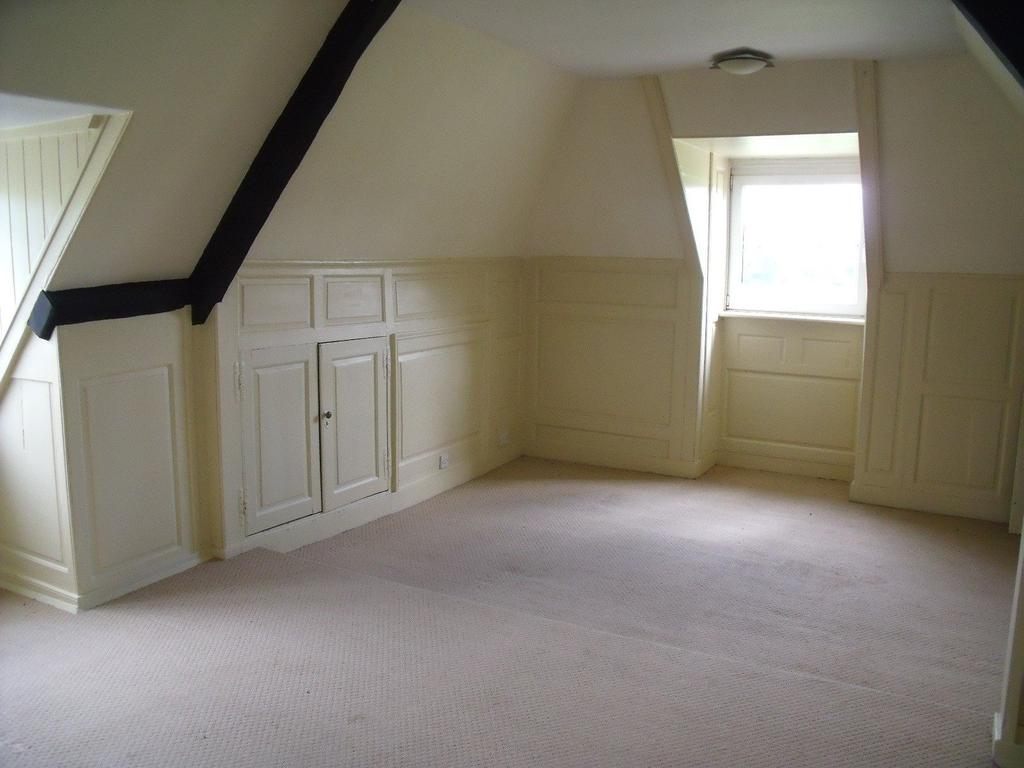 Picture 3