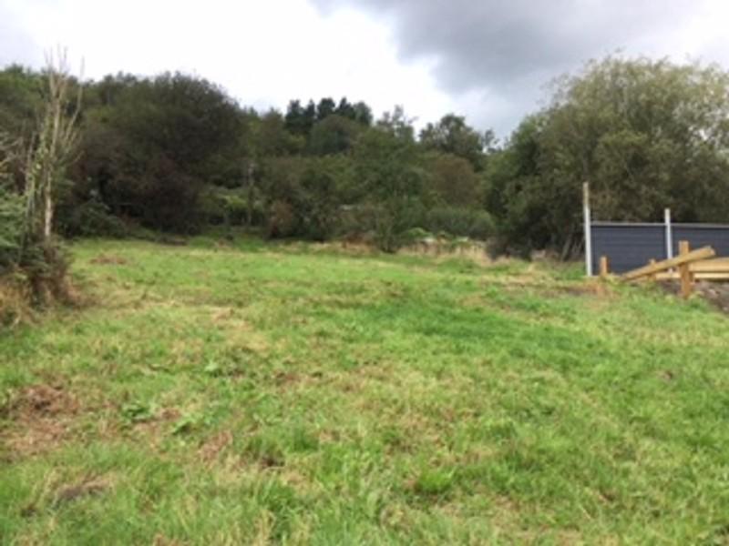 Not Specified