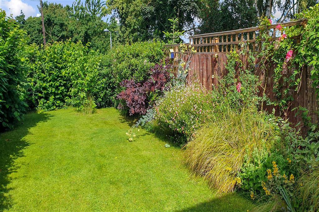Front Garden 2