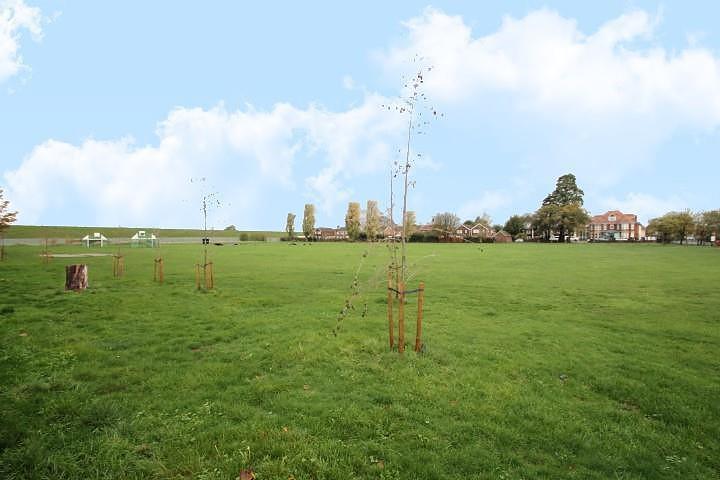 Fields
