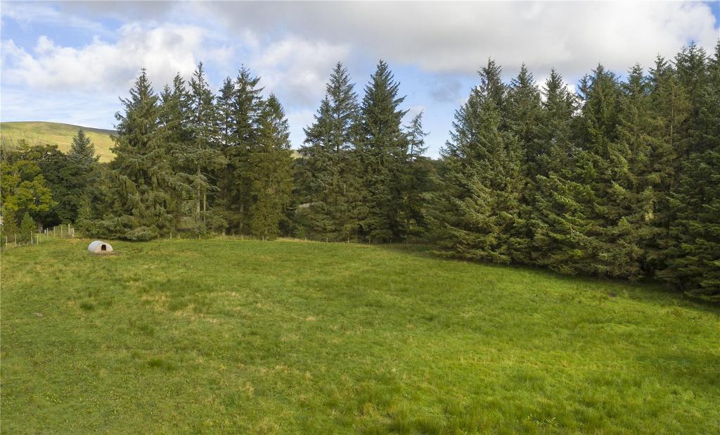 Small Paddock