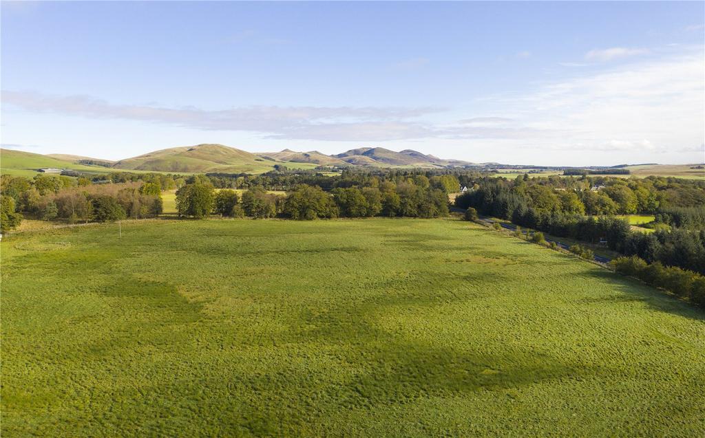 Field