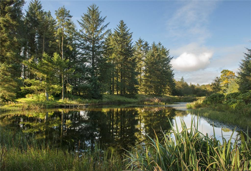 Pond