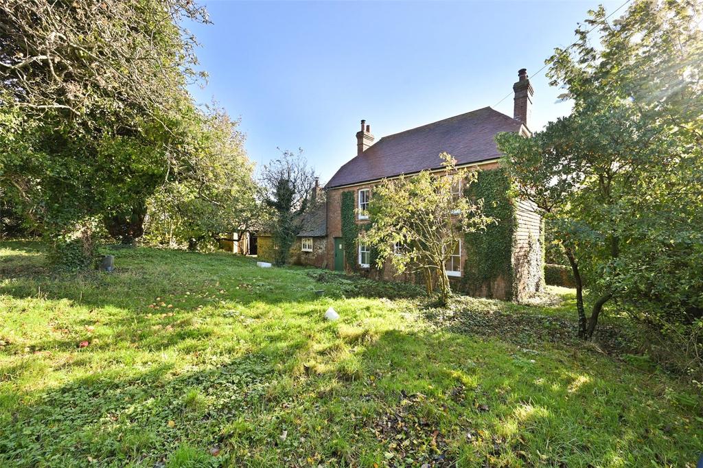Rear Elevation