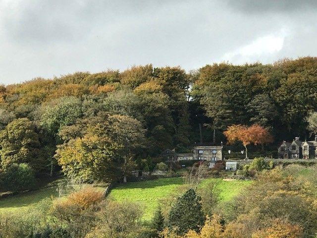 Photograph 48