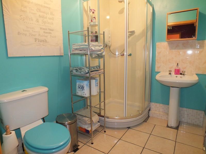 Annexe Shower room