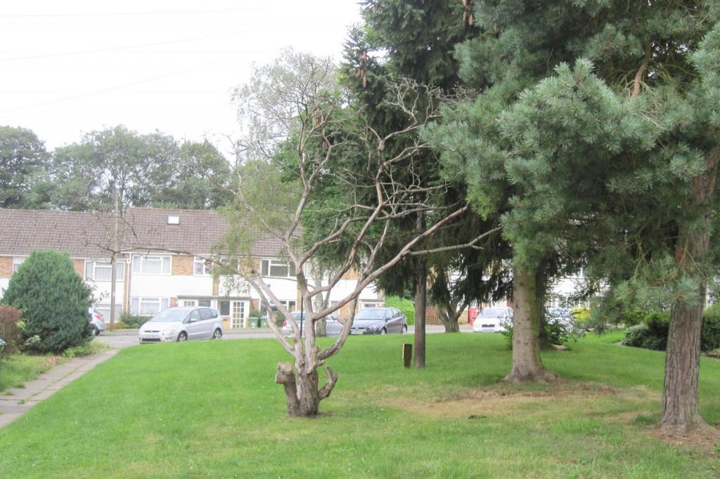 Communal Green