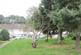 Communal Green