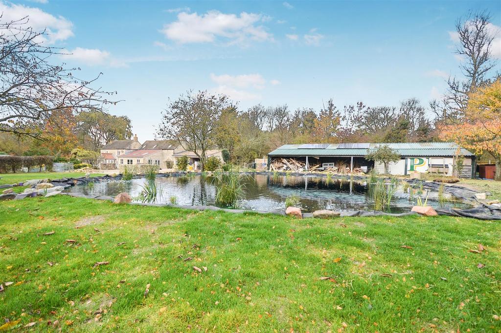 Swimming Pond