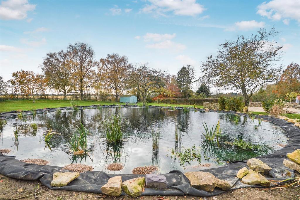 Swimming Pond