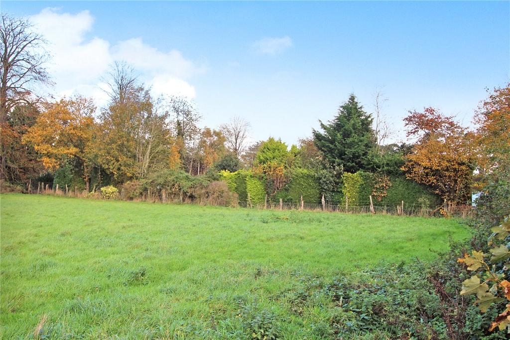 Grounds