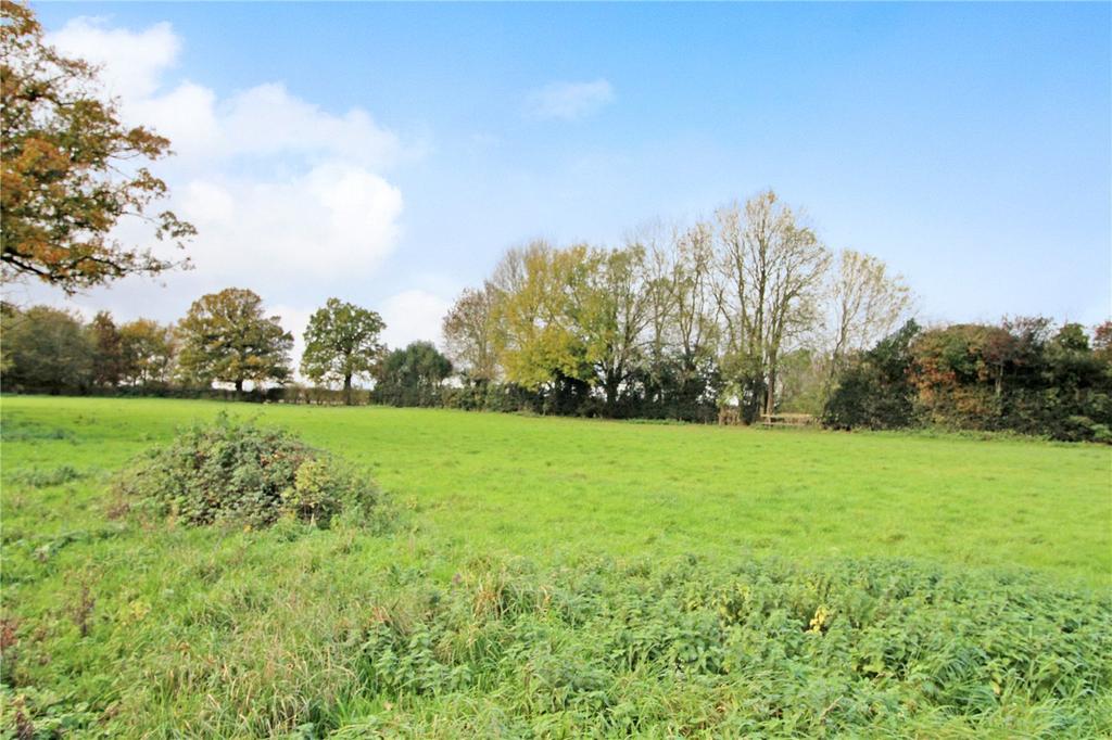 Grounds
