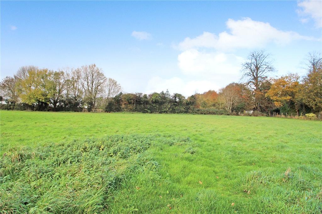 Grounds