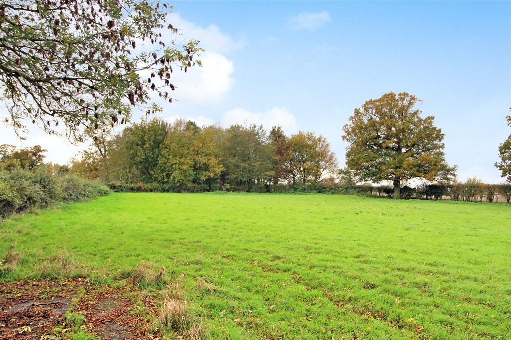 Grounds