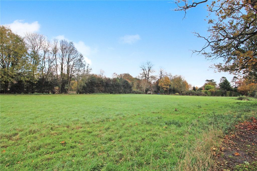 Grounds