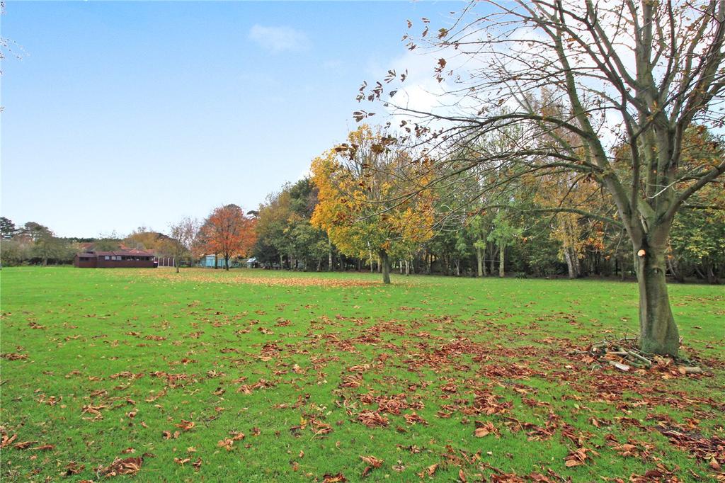 Grounds