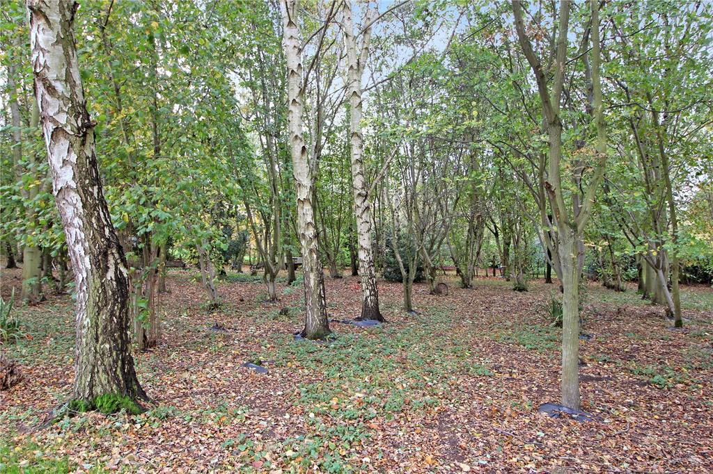 Grounds