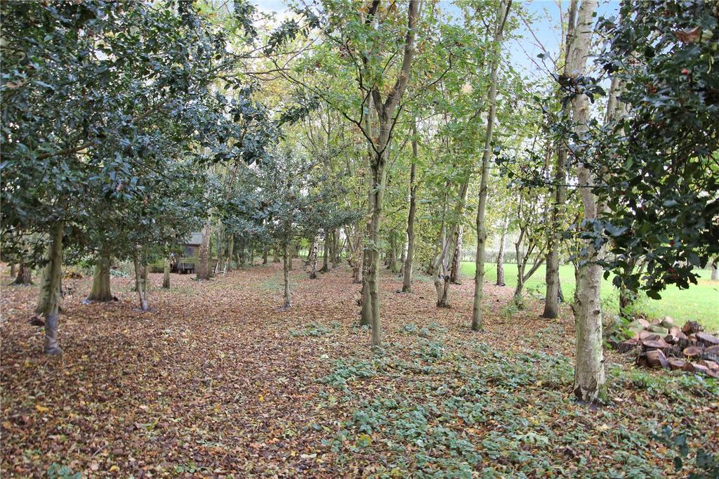 Grounds