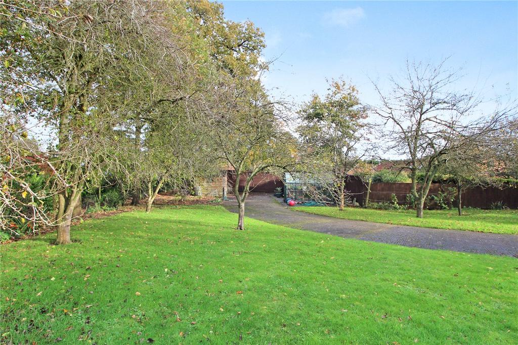 Grounds