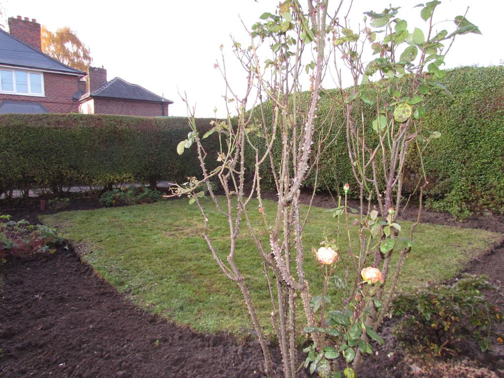 Front gardens