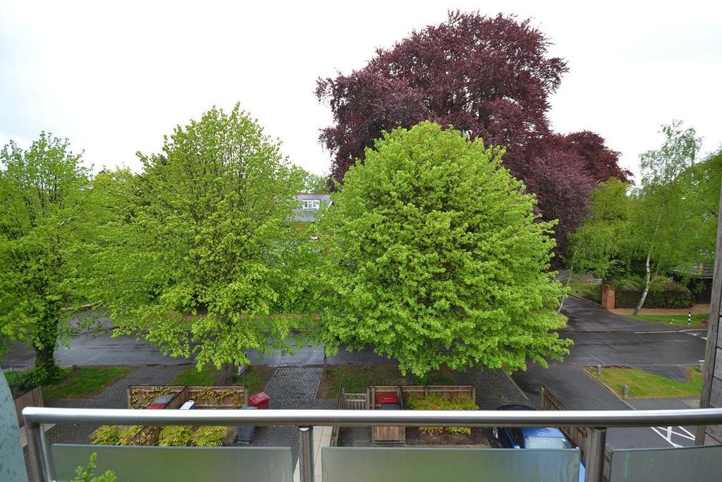 View from bedroom 1
