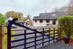 Dhoon Cottage, Beechwood, Gatehouse of Fleet - Wil