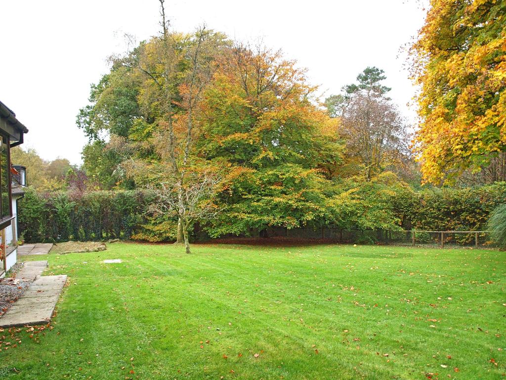 Dhoon Cottage, Beechwood, Gatehouse of Fleet - Wil