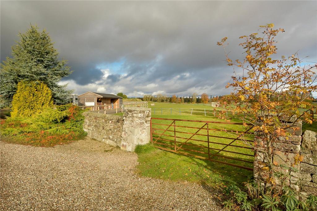 Paddock Gates