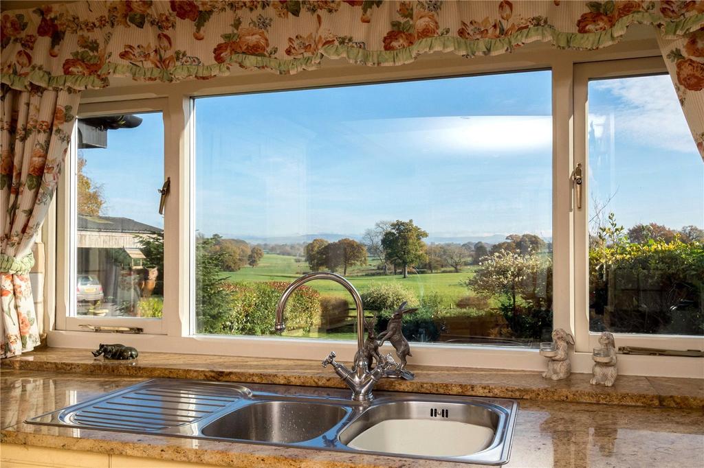 View From Kitchen