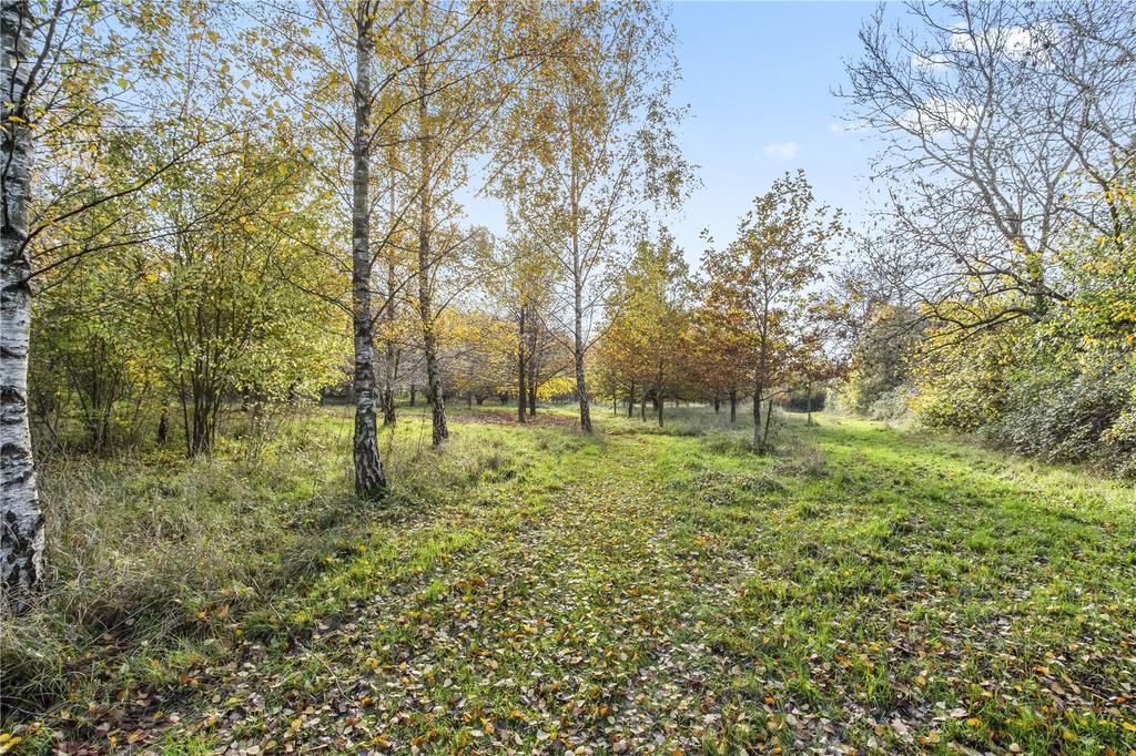 Woodland