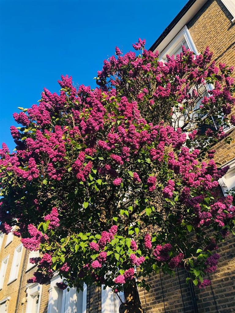 Whats App Image 2020-11-09 at 15.29.43.jpg