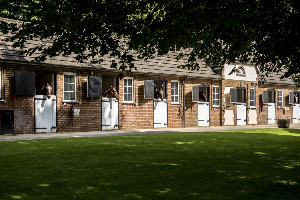 Training yard stables