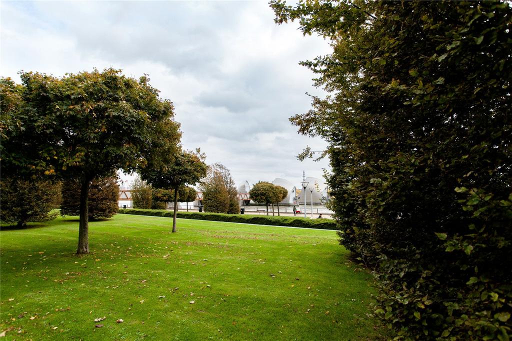 Shared Gardens