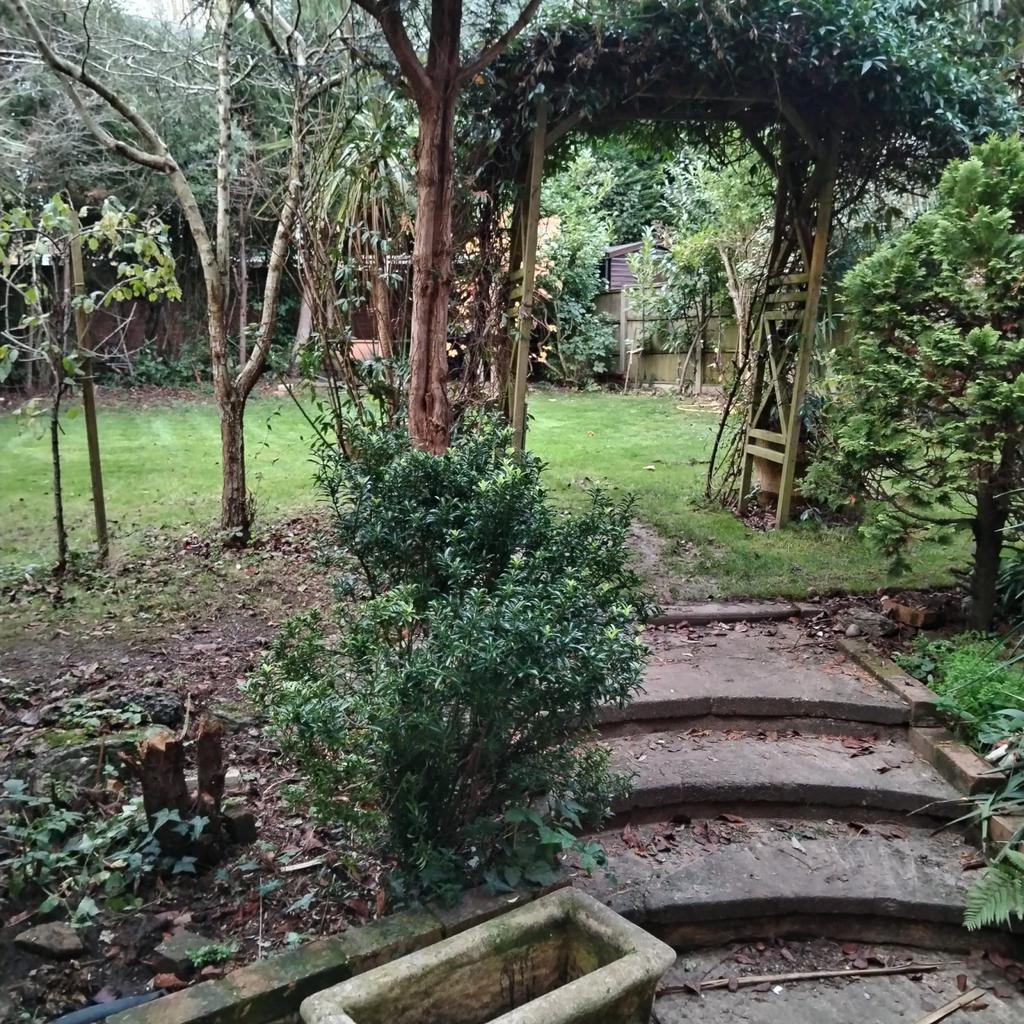 Rear garden