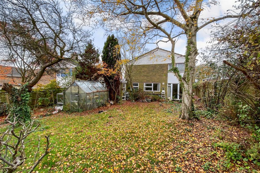 Rear Elevation 11/11