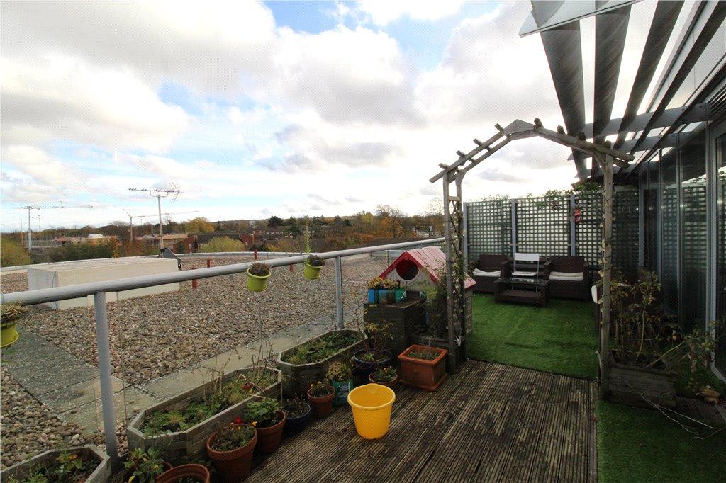 Roof Garden