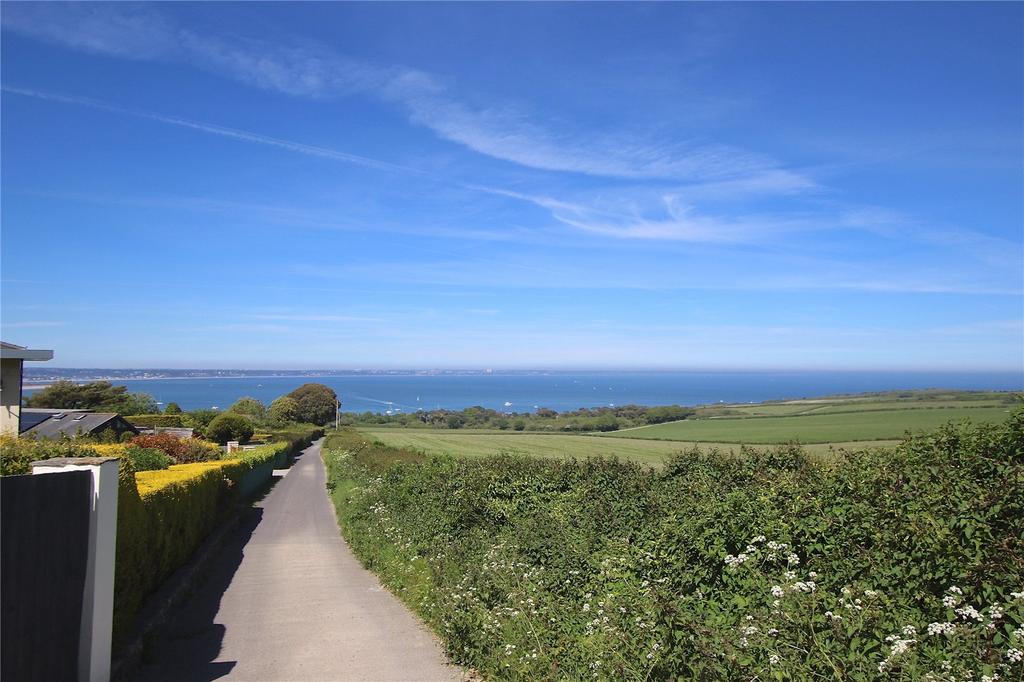 Driveway View