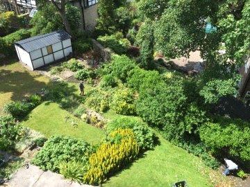 Aerial Garden