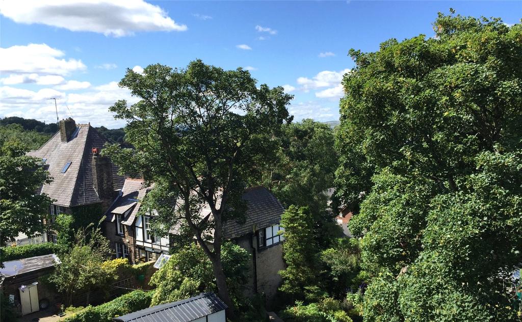 Treetop View