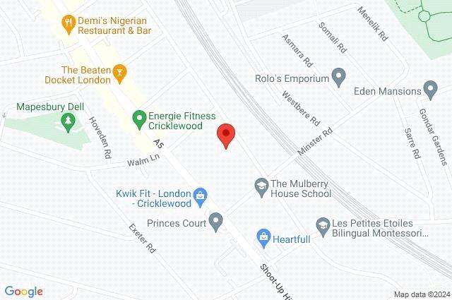 Google Maps Image
