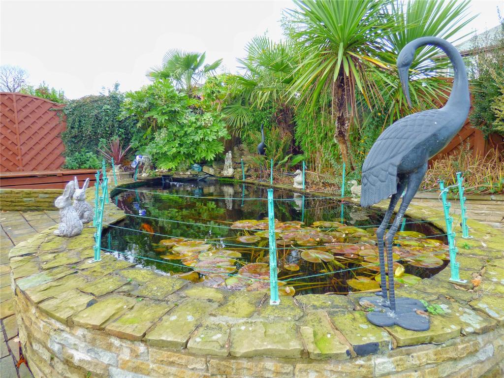 Pond