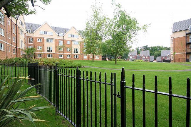 Communal Gardens 2