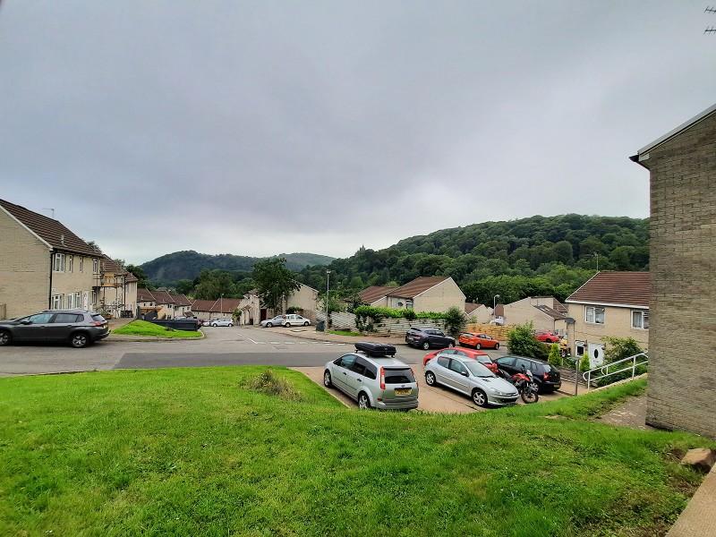 Parking area/grounds