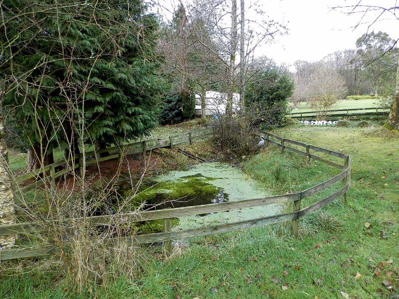 Small Pond in...