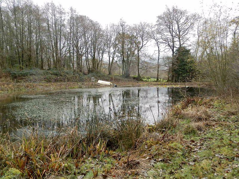 Lovely Large Pond