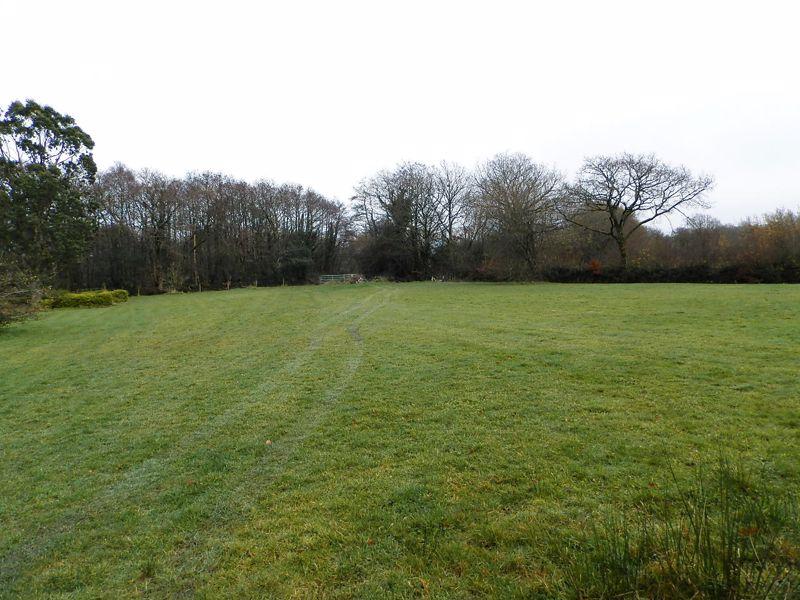 Paddock 1
