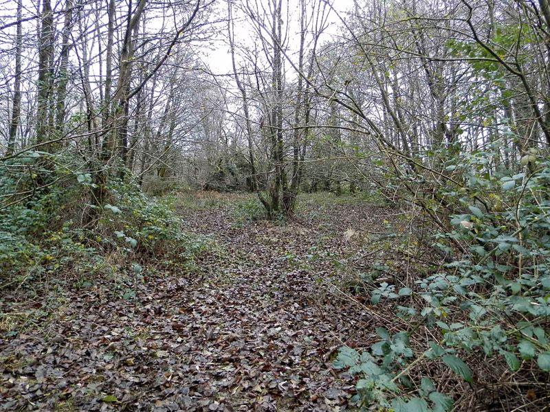 Paths Through...